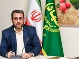 تعاون روستایی آذربایجان شرقی 9 هزار و 500 تن گندم خریداری کرد