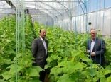 سطح گلخانه‌های استان اردبیل امسال به ۱۰۰ هکتار افزایش می‌یابد