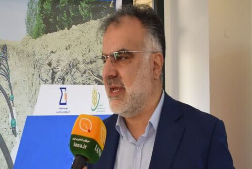 تدوین ۶ برنامه عملیاتی پژوهش کشاورزی/کاهش ۵۰ درصدی تلفات سیب‌زمینی با اجرای الگوی جدید انبارداری
