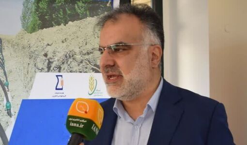تدوین ۶ برنامه عملیاتی پژوهش کشاورزی/کاهش ۵۰ درصدی تلفات سیب‌زمینی با اجرای الگوی جدید انبارداری