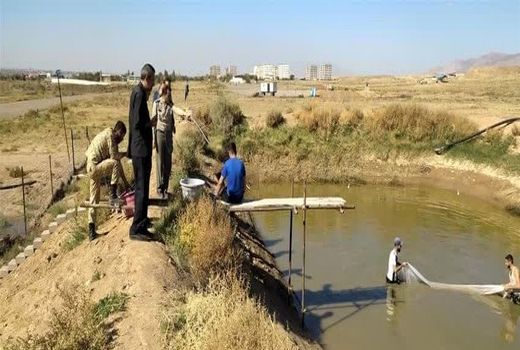 آغاز صید ماهی قزل آلا از استخر پرورشی پایگاه هوانیروز تبریز