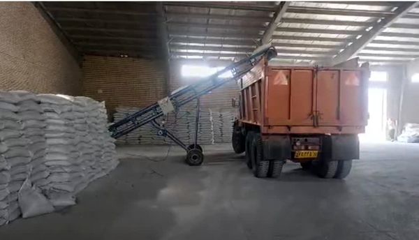 توزیع ۶هزار تن کود در قطب کشاورزی استان بوشهر