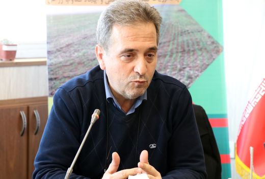 فارس جایگاه اول تولید دام سبک کشور را دارد 