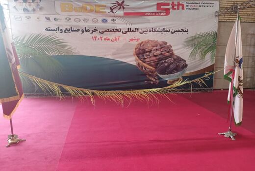 امرار معاش دو میلیون نفر در ایران از صنعت خرما 