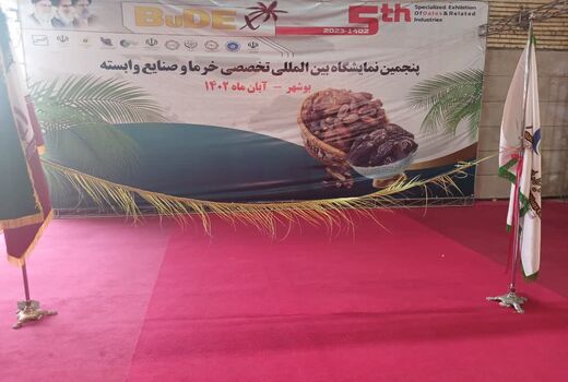 امرار معاش دو میلیون نفر در ایران از صنعت خرما 