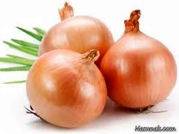 برداشت 700 تن پیاز از مزارع چاروسا