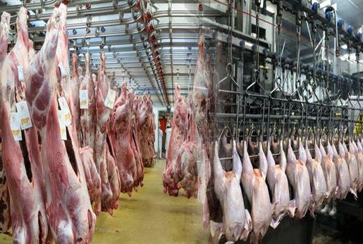 فعالیت کلیه کشتارگاههای دام‌ و‌ طیور در ایام پایانی تعطیلات نوروزی 