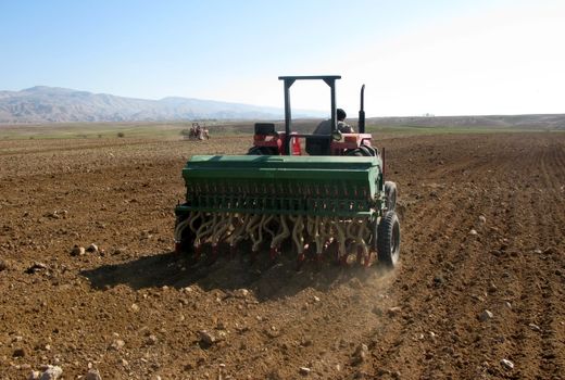 کشت مکانیزه 14 هزار هکتار از اراضی کشاورزی در البرز