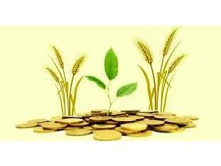 1560 میلیارد تسهیلات رونق تولید در بابل جذب شد