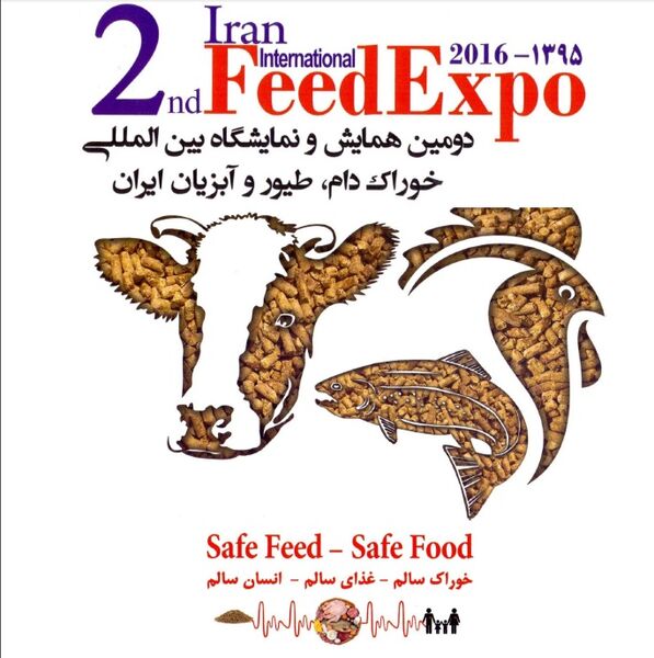 تولید محصولات پروتئینی دامی به 13 میلیون تن رسید