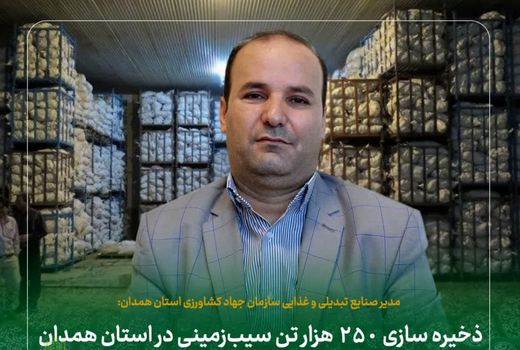 ذخیره سازی ۲۵۰ هزار تن سیب‌زمینی در استان همدان 