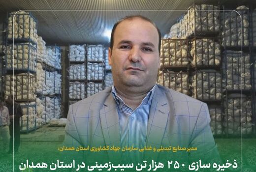 ذخیره سازی ۲۵۰ هزار تن سیب‌زمینی در استان همدان 