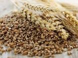 توزیع سبوس گندم در خرمشهر