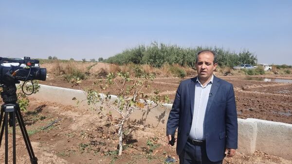 برداشت 1350 تن پسته از باغات شهرستان اسکو