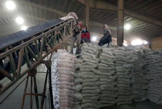 توزیع بیش از ۷۰۰ تن انواع کود یارانه‌ای کشاورزی در سردشت