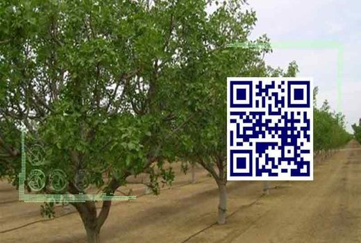 هزار هکتار باغ و مزرعه در قیروکارزین شناسنامه دار شد