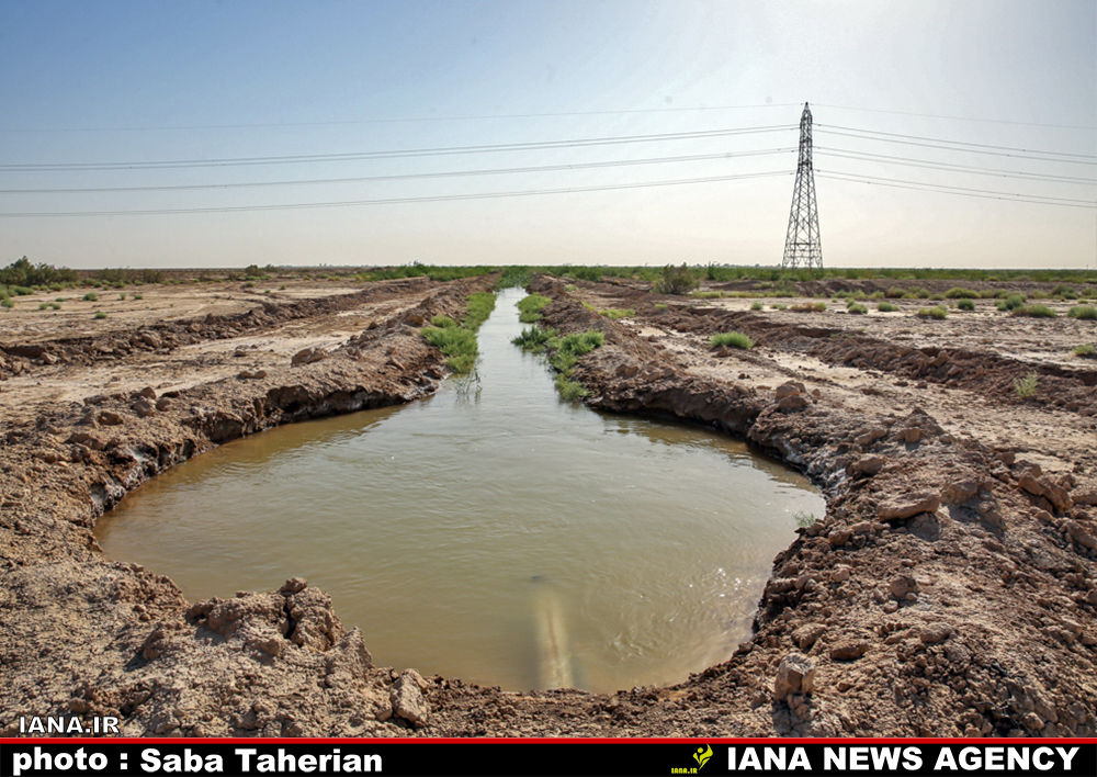  مقابله با بیان زایی