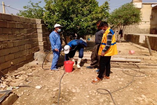 آغاز فاز چهارم واکسیناسیون طیور بومی بر علیه بیماری نیوکاسل