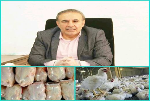 ذخیره‌سازی 174 تن گوشت مرغ از ابتدای سال 99