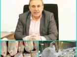 ذخیره‌سازی 174 تن گوشت مرغ از ابتدای سال 99