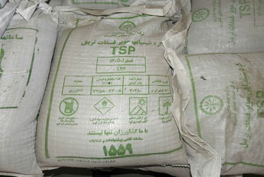 تأمین و توزیع 98 تن انواع کودهای شیمیایی فسفاته و پتاسه در استان البرز