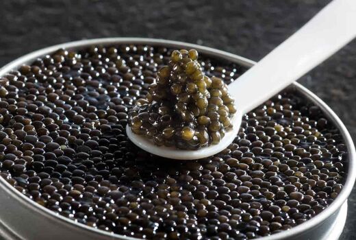 پیش‌بینی تولید ۱۰۰ تن خاویار تا سال ۱۴۰۴