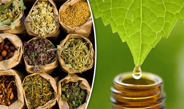 برگزاری یک‌ دوره مهارتی پرورش گیاهان داوریی