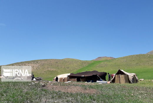 استقرار بیش از دوهزار خانوار عشایری در مناطق ییلاقی استان تهران