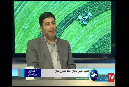 کشت قراردادی به اصلاح الگوی کشت و اجرای سیستمهای نوین آبیاری سرعت می بخشد/ با کشاورزی قراردادی مشکلات کلزاکاران استان حل و فصل شد