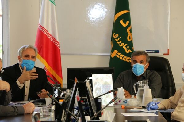 مرغداری‌های کردستان برای جوجه‌ریزی ۳۰۰ میلیارد تومان سرمایه در گردش نیاز دارند