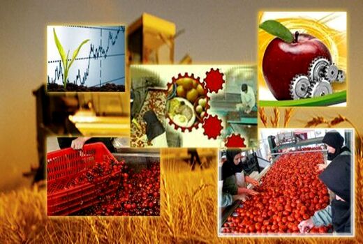 صنایع تبدیلی و غذایی پیشتاز  در سرمایه گذاری بخش کشاورزی هستند 