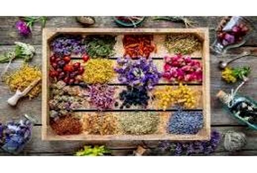 زمینه‌سازی برای صادرات گیاهان دارویی