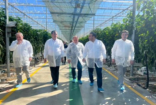  بازدید معاون باغبانی وزارت جهادکشاورزی از بزرگترین گلخانه خاورمیانه در جلفا