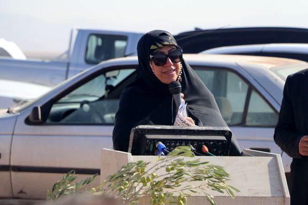 مرکز تجارت زیتون زنجیره ارزش کاملی از تولید تا توزیع ایجاد می‌کند