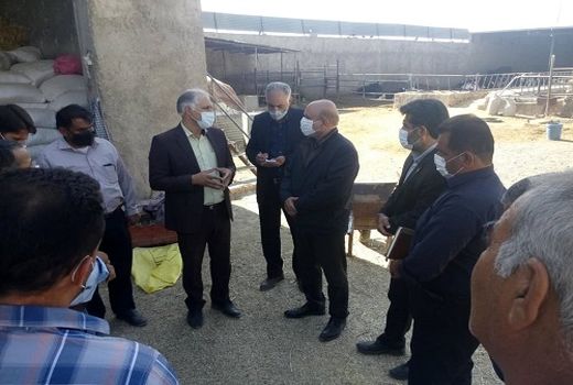 مشکلات دامداری های مرودشت به کارگروه وزارت خانه می رود