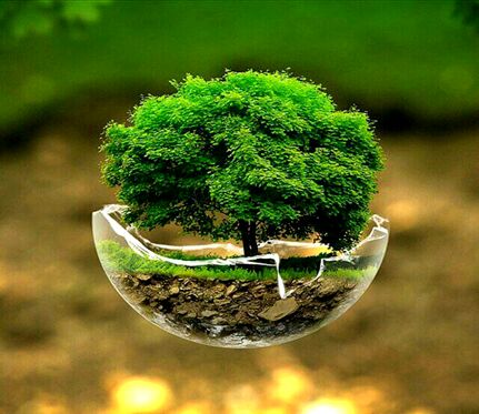 حفظ و صیانت از خاک یک وظیفه جهانی است
