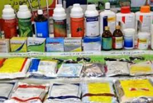 نظارت کامل بر فروشگاه‌ها باهدف امحای سموم غیر مجاز 