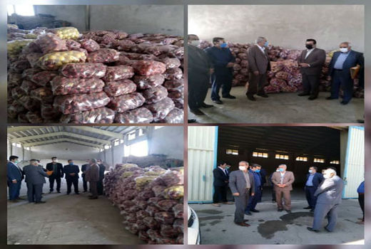 خرید تضمینی سیب صنعتی توسط تعاون روستایی آذربایجان شرقی 