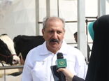 اصفهان نمونه برتر پرورش گاو هلشتاین