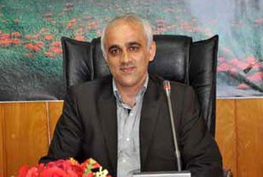 11 هزار هکتار جنگل‌کاری در سال جاری صورت گرفته است