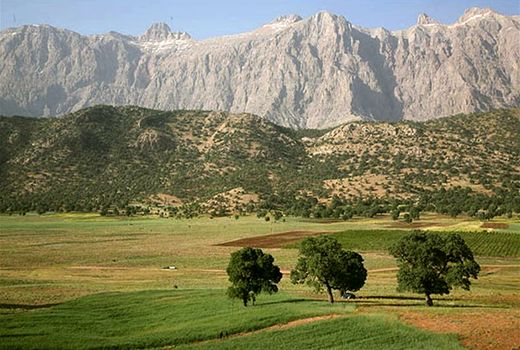 زاگرس فقط جنگل نیست؛ یک زندگی است/ احیای زاگرس با مردم 