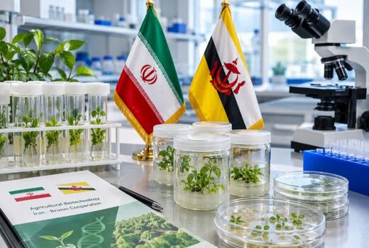 بیوتکنولوژی؛ اولویت نخست همکاری کشاورزی ایران و برونئی