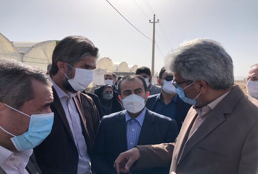 بازدید رئیس سازمان و استاندار از  مجتمع گلخانه ای شهرستان درمیان