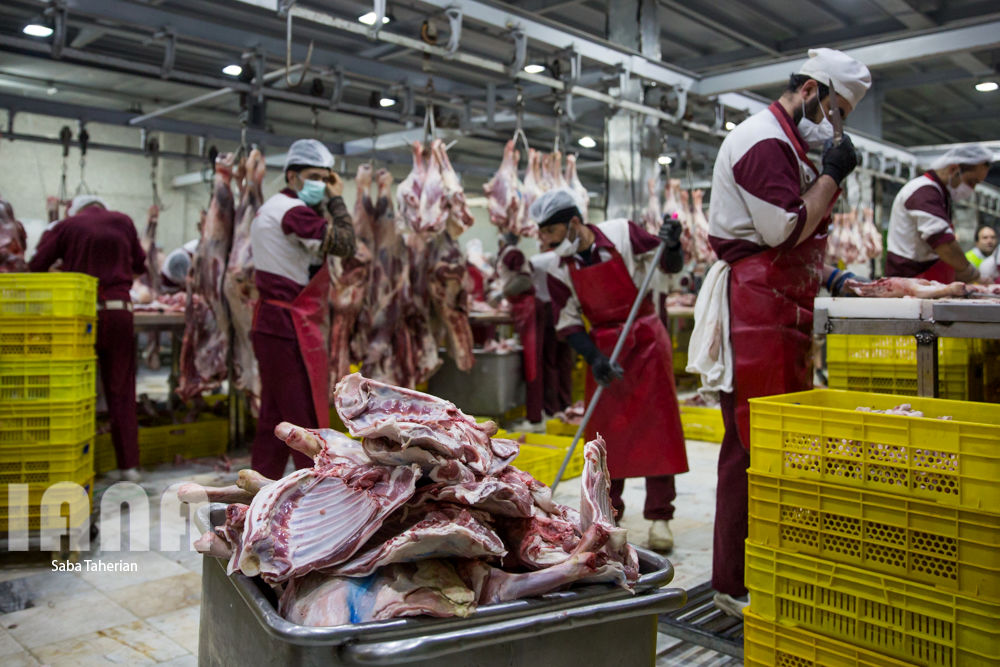 بسته‌بندی محصولات پروتئینی