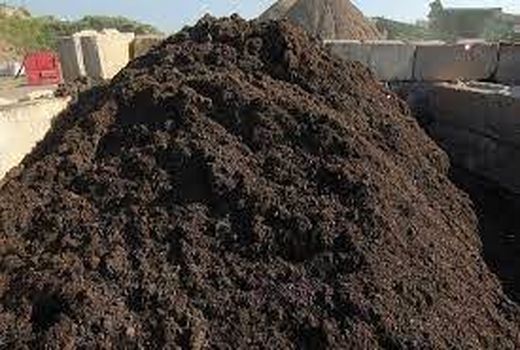 اجرای طرح تولید کمپوست خانگی در شهرستان کنگان