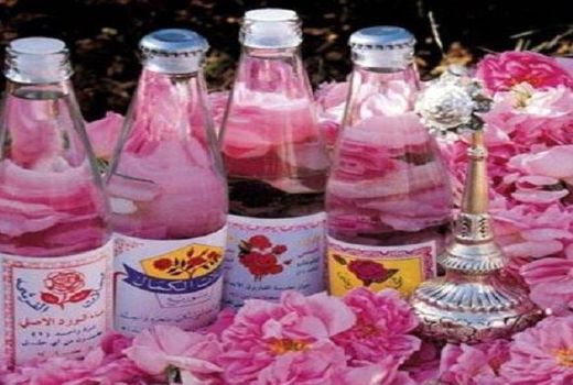 تنها ۵ درصد گل محمدی در شهرستان فاروج فرآوری می‌شود