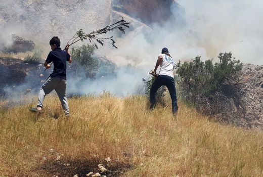 ۱۰ هکتار از مراتع طبیعی چرداول در آتش سوخت 