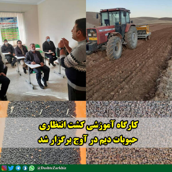 برنامه روز مزرعه محصولات دیم در شهرستان آوج برگزار شد