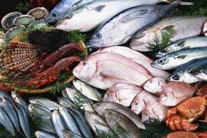 لزوم اخذ کد IR برای تمام بهره‌برداران و صادرکنندگان شیلاتی از ابتدای ۱۴۰۵