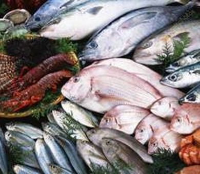 لزوم اخذ کد IR برای تمام بهره‌برداران و صادرکنندگان شیلاتی از ابتدای ۱۴۰۵